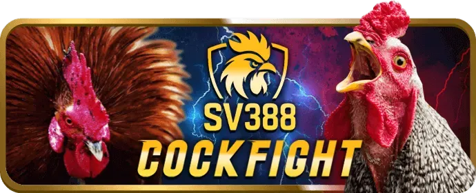Khuyến mãi VIPTF88